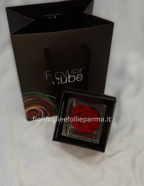 Flowercube rossa in cubo di plexiglas 6x6