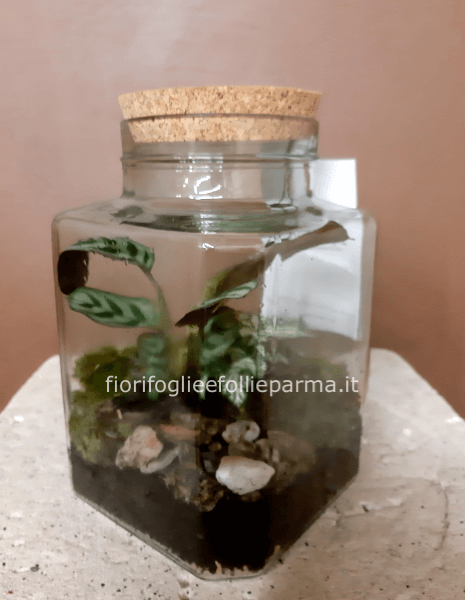 Terrarium