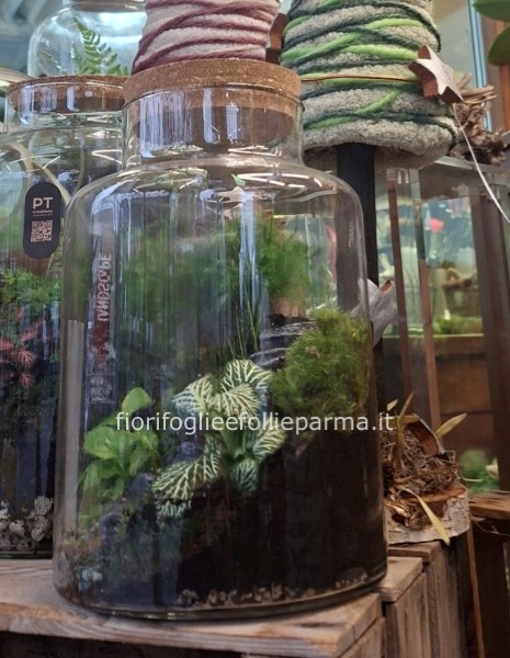 Terrarium naturale