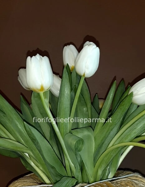 Mazzo 10 tulipani di colori assortiti in confezione regalo